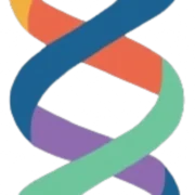 Amino Sequence